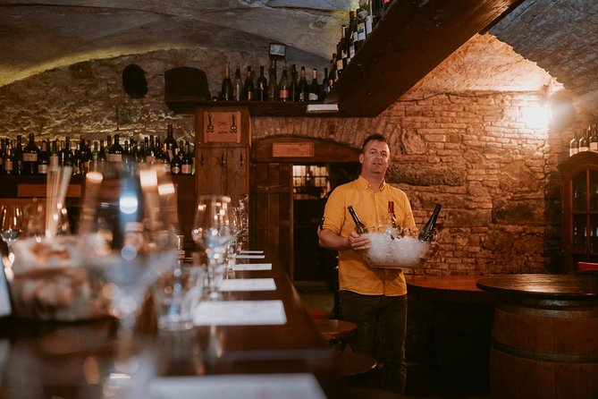 2-Hour Interactive Wine Tasting Experience in Ljubljana - Bread, cheese, olives, and Slovenian oil