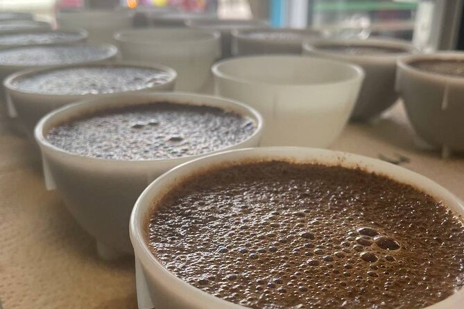 2-Hour Specialty Coffee tasting in Ljubljana - Key Points Before You Book