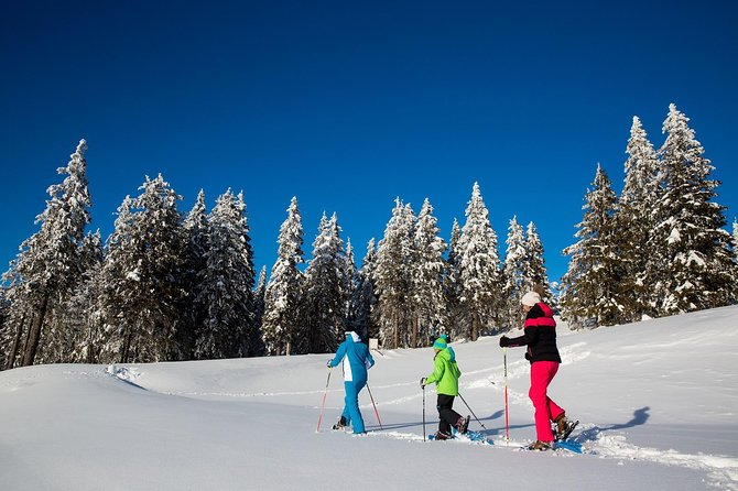 3-Hour Guided Snowshoeing Adventure in the Slovenian Alps - Key points to know before booking