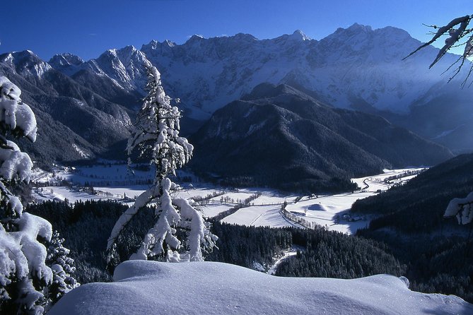 3-Hour Guided Snowshoeing Adventure in the Slovenian Alps - Choosing between a gentle walk and a harder ascent