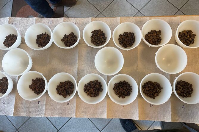 Barista Skills Foundation Course in Ljubljana - Dialing in coffee and improving consistency
