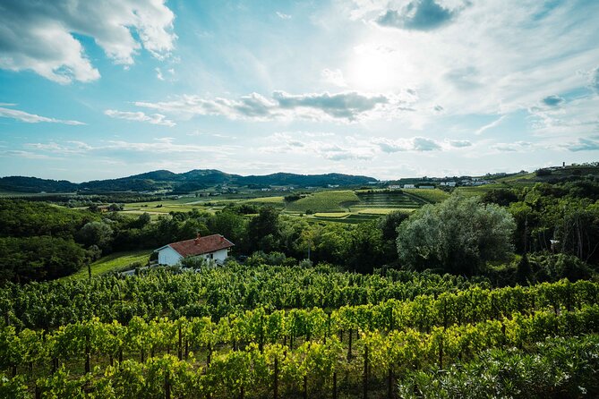 Bike Slovenia Green: Alps to Adriatic 8 days cycling tour - Day 4: Historic rail and the Soča River
