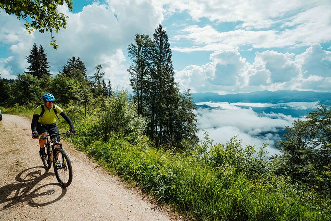 Bike Slovenia Green: Alps to Adriatic 8 days cycling tour - Day 6: Prosciutto, caves, and Lipica