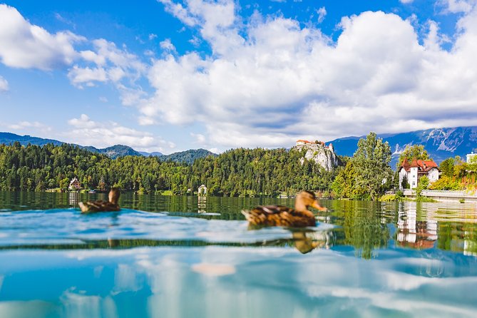 Bled & Bohinj lakes with Skofja Loka | Private trip from Ljubljana - Lake Bohinj is the quieter centerpiece