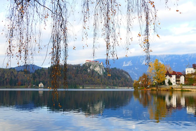 Bled Lake Day Trip From Ljubljana - A proper taste of Bled cream cake