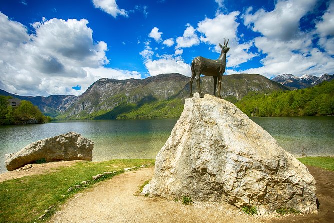 Bled to Lake Bohinj Trip - Pine forests and mountain roads on Pokljuka Plateau