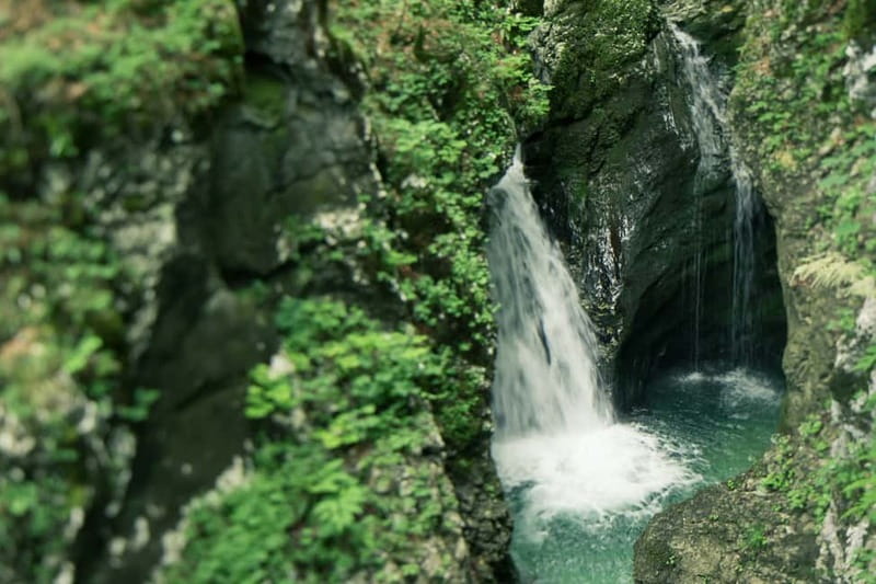 Bled: Triglav National Park Canyoning Adventure with Photos - My take: book it if you want action, not just scenery