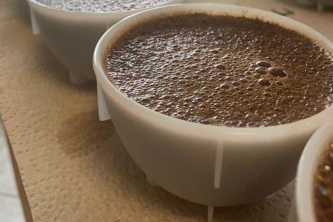 Coffee Sensory Training in Ljubljana - Calibrating your sense of taste