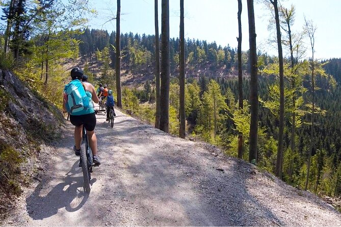 E-bike tour Škofja Loka - What the $144.57 price includes