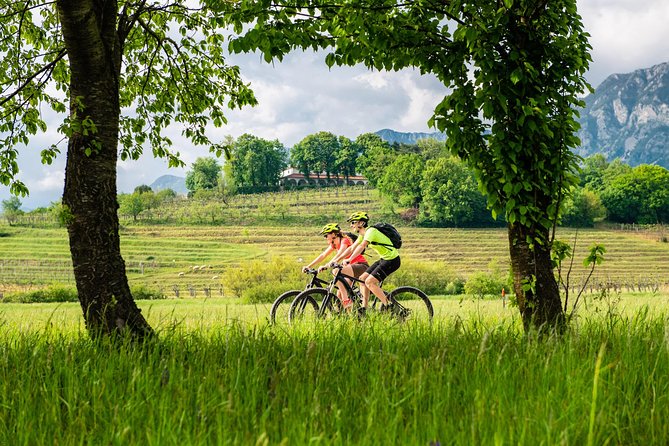 E-bike Vipava River Tour - Vipavski Križ and coffee with a medieval setting