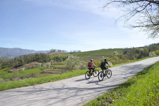 E-bike Vipava River Tour - Who will enjoy this ride most