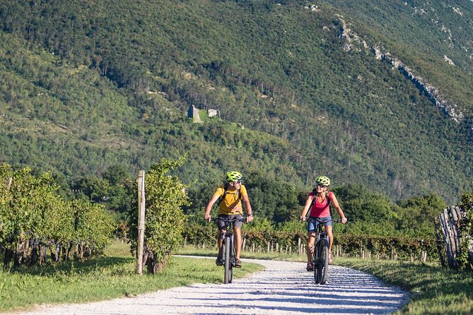 E-bike Vipava River Tour - Štruklji at Gustl, Vipavski posebnež