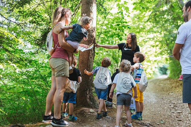 Family Adventure in Bled - Enchanted Forest theme park - What $86.73 per person buys you