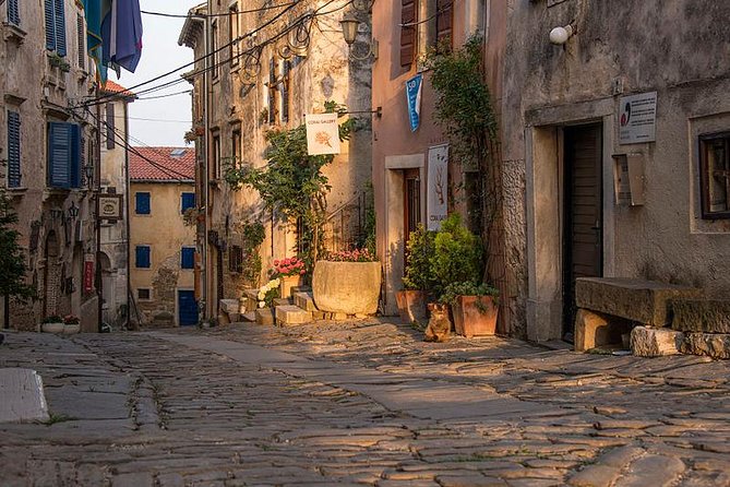 Flavours of Istria Tasting Experience from Koper - A full day in a small group