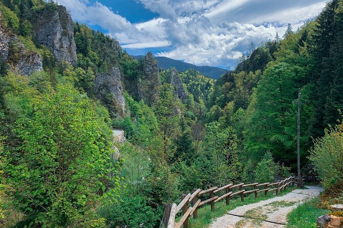 From Bled: Crystal River Hike - From Bled to the Upper Carniola trailhead