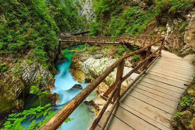 From Bled: Self-Guided E-Bike Tour to Vintgar Gorge - Pedaling through the hills to Vintgar