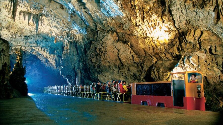 From Koper: Postojna Cave and Predjama Castle Tour - Watching for the olm
