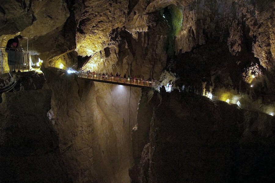 From Ljubljana: Lipica Stud Farm and Piran Full-Day Tour - The guides make the difference