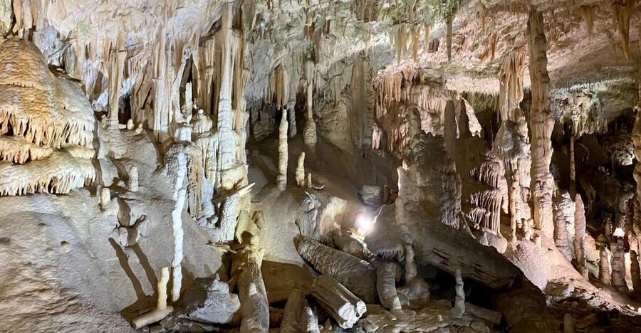 From Ljubljana: Postojna Cave Day Trip - Why Postojna Cave is worth a morning