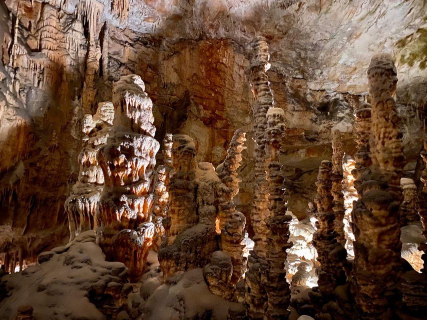 From Ljubljana: Postojna Cave Day Trip - Lunch, souvenirs, and the ride back