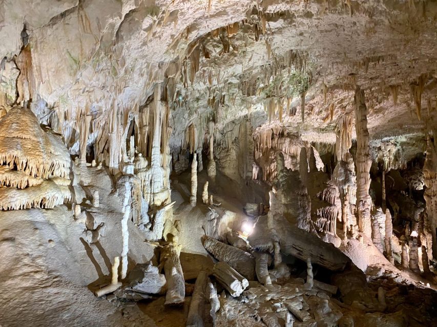 From Ljubljana: Postojna Cave Day Trip - What the $106 price really buys you
