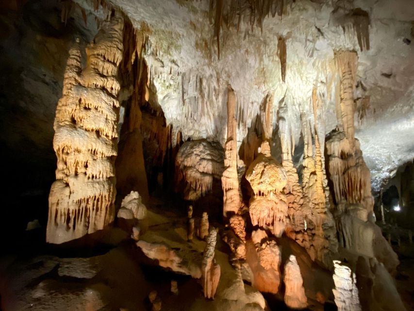From Ljubljana: Postojna Cave Day Trip - Who should book this half-day cave trip