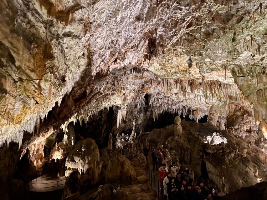 From Ljubljana: Postojna Cave Day Trip - Arriving at the cave around 9:30 AM