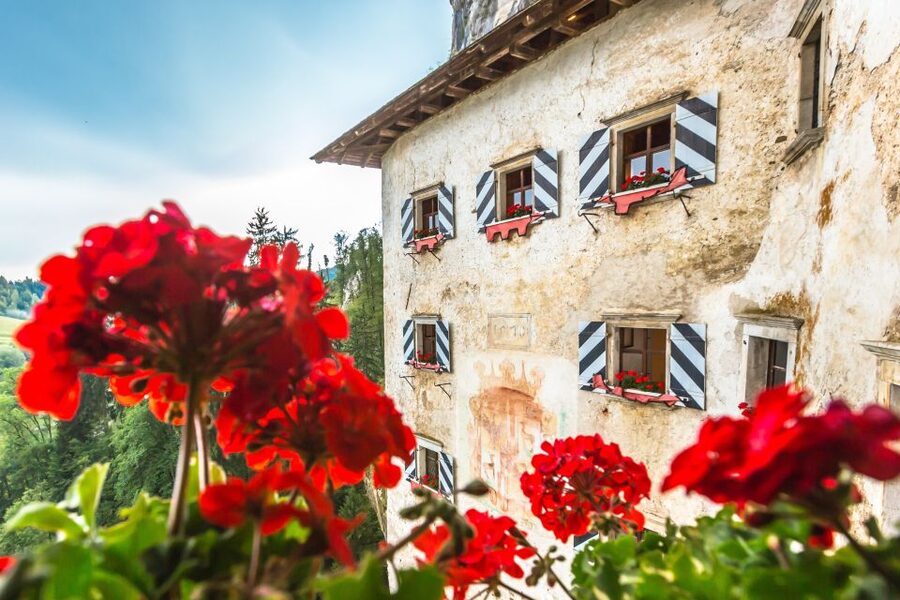 From Ljubljana: Postojna Cave, Predjama Castle and Lake Bled - Predjama Castle and the story of Erasmus