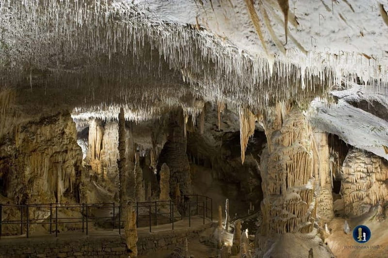 From Ljubljana: Postojna Cave, Predjama Castle, & Piran Tour - One day from Ljubljana, mountain to sea