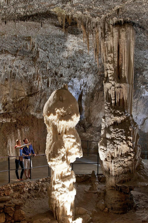 From Ljubljana: Postojna Cave, Predjama Castle, & Piran Tour - The guide can make or break a long day