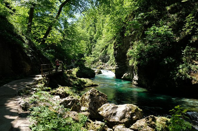 From Ljubljana: Triglav National Park Tour (Private) - Lake Bohinj gives you room to breathe