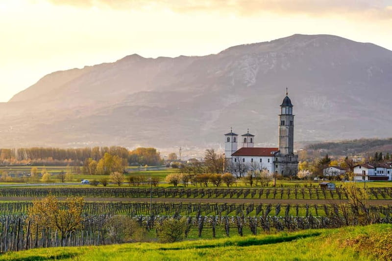 From Ljubljana: Vipava Valley Wine Express Tour - Key points at a glance