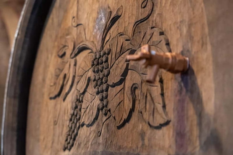 From Ljubljana: Vipava Valley Wine Express Tour - Who should book this wine express