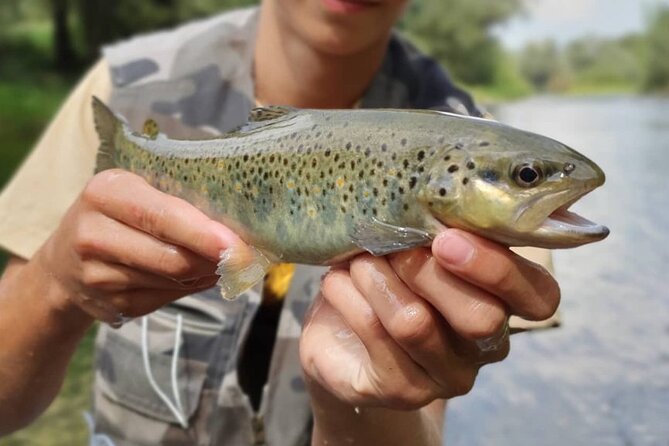 Full Day Private Guided Fishing Charter along the Isonzo Front - Fishing the Soča with a guide who teaches