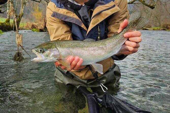 Full Day Private Guided Fishing Charter along the Isonzo Front - What past fishing days tell you about the guide