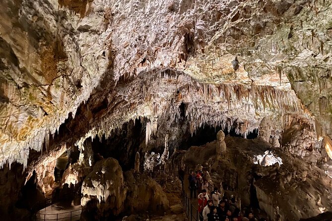 Full-day tour of Postojna Cave and Bled Lake From Ljubljana - Inside Postojna Cave for about two hours