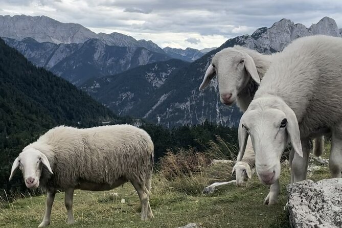 Full-Day Triglav National Park Tour from Ljubljana - Lake Jasna is a gentle finish