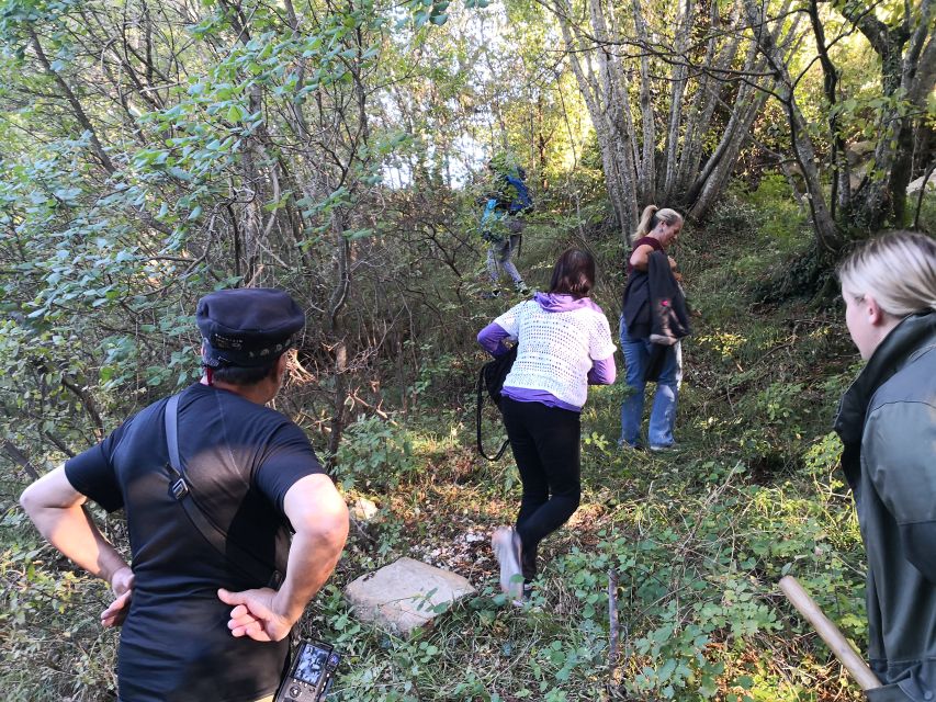 Gažon - Istria: Truffles Hunting & Cooking & Tasting - Key points to know before you book