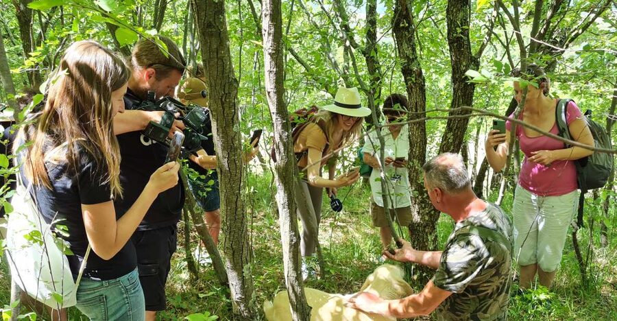 Gažon - Istria: Truffles Hunting & Cooking & Tasting - Why Gažon is a good place to learn about truffles