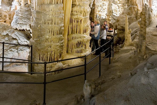 Group tour to Postojna Cave from Koper - with unique cave train - Why Postojna Cave is the main event
