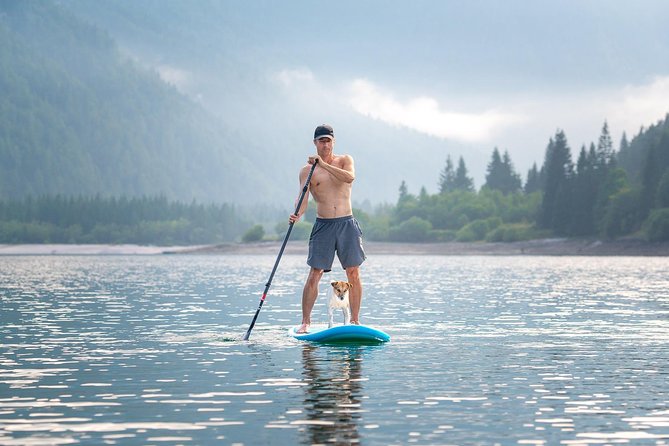 Half Day Stand-up Paddle Boarding (SUP) trip on Lake Predil - Families, children, and four-legged companions