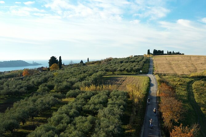 Half Day Vespa Countryside Tour and Tastings in Istria - Olive oil tasting with a local producer