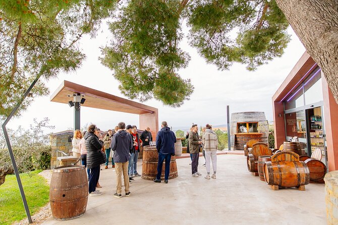 Hop & Taste Slovenian Riviera Hop-On Hop-Off & Local Bites - Is the $70.88 price fair?