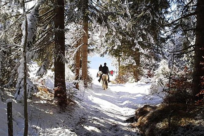 Horse Riding in Bled - Key points to know before you book