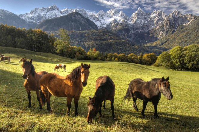 Horse Riding in Bled - Riding near Lake Bled and Triglav scenery