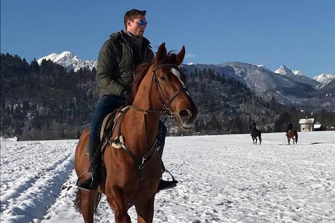 Horseback Riding In Bled - A quiet way to see the countryside around Bled