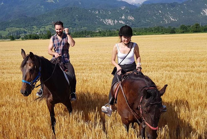 Horseback Riding In Bled - Through fields, woods, and village roads