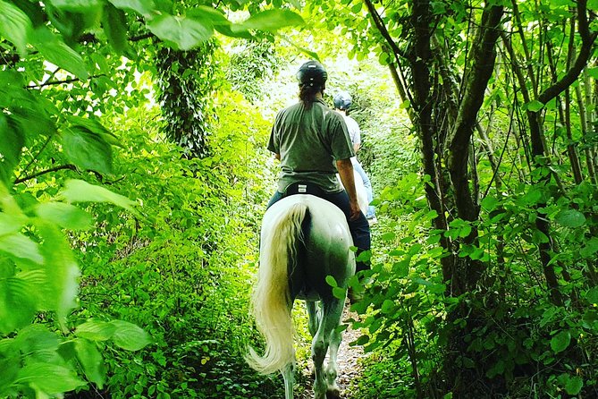Horseback Riding In Bled - The guides can shape the whole ride
