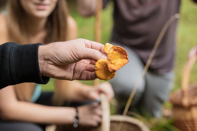 It Smells Like Mushrooms - From forest finds to a kitchen lesson