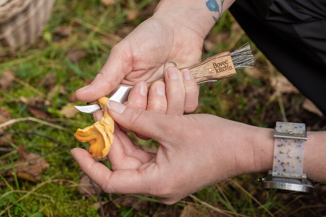 It Smells Like Mushrooms - What the $230.67 price includes